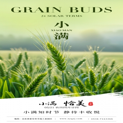 【小滿(mǎn)】